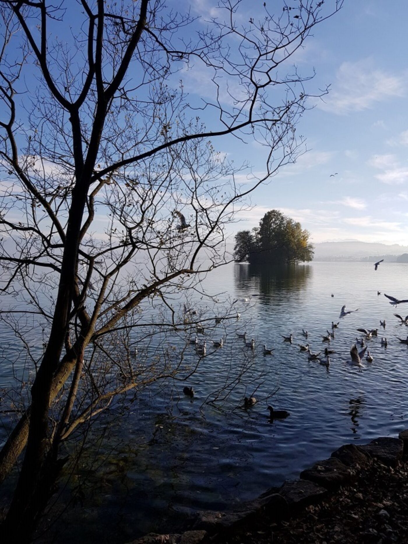 Sempachersee im Winter