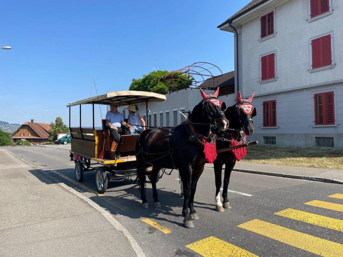 Eine Kutsche von Pferden gezogen
